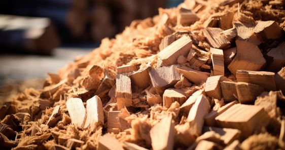 Razvoj tržišta biomase u Republici Srbiji 